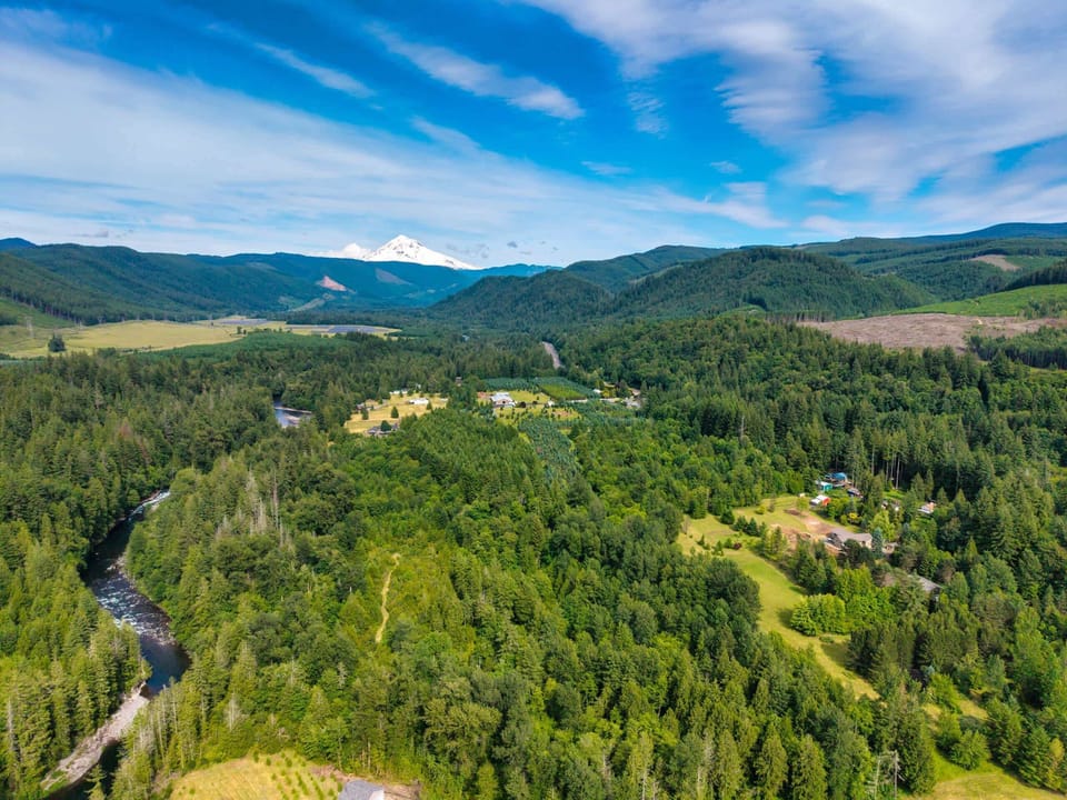 Aerial view of the wooded property.
