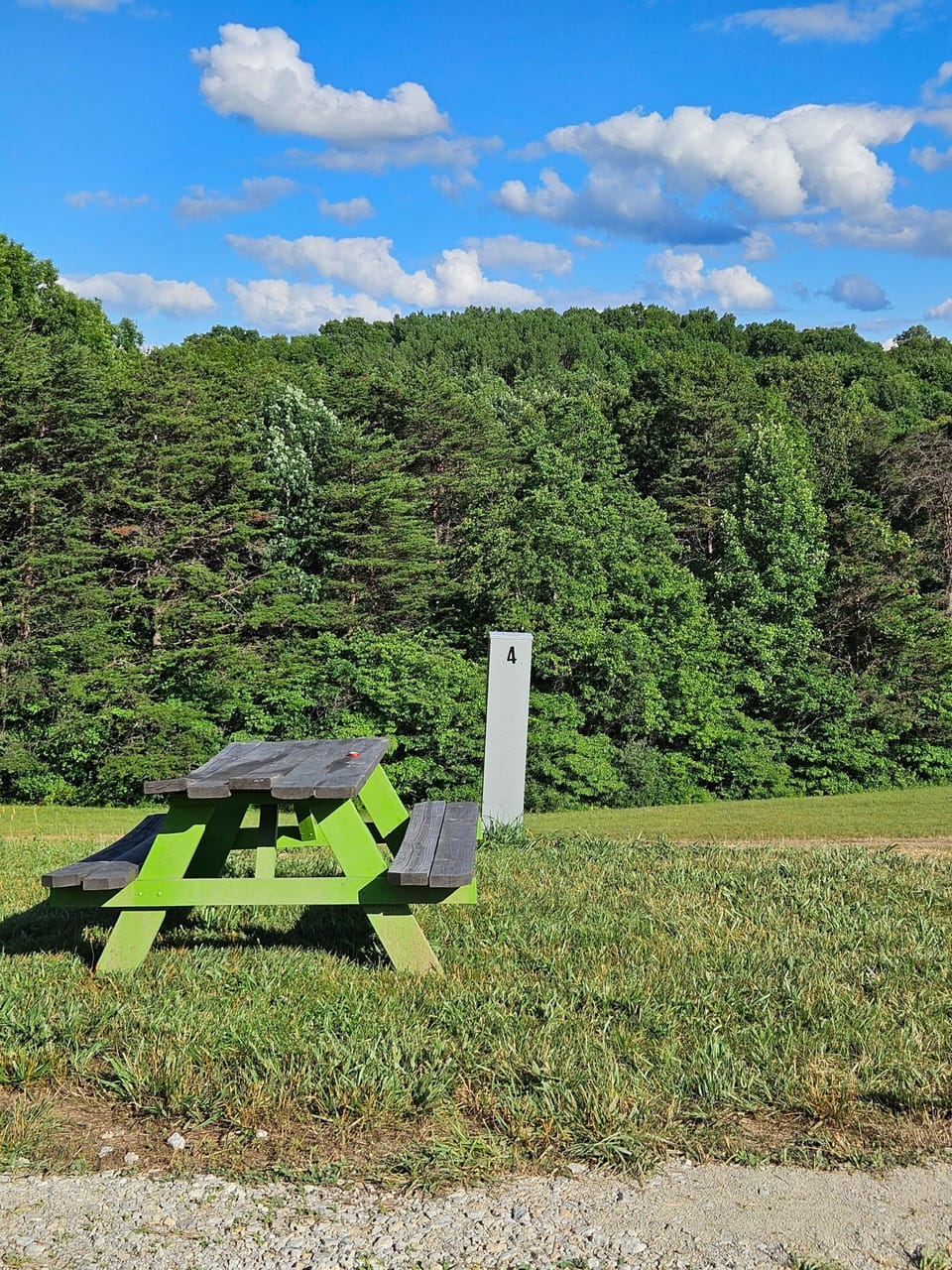 Site 4