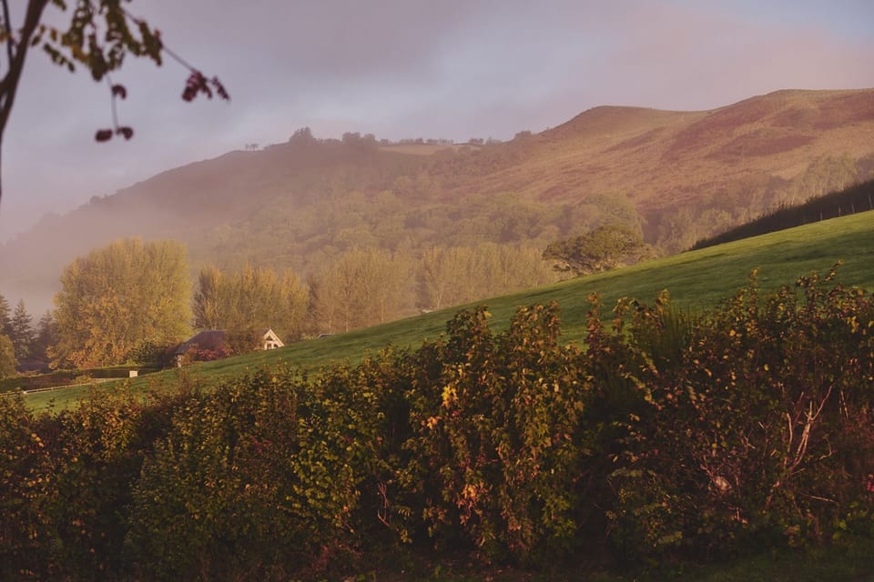 Stunning countryside views at Original Hideaways, Powys