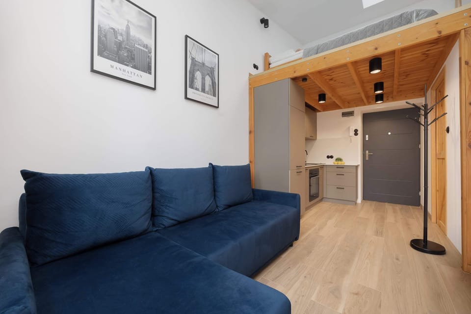 Open-plan studio combining the living area and kitchenette.