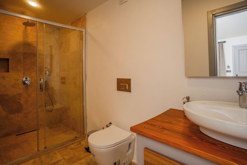 Standard Double or Twin Room | Bathroom | Shower, free toiletries, hair dryer, slippers