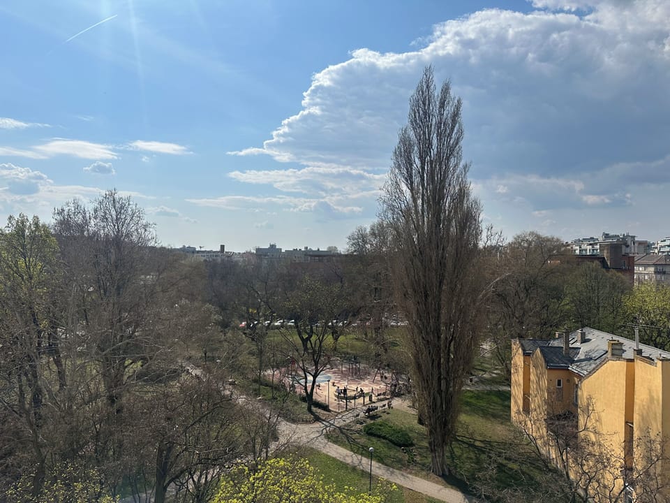 Studio, Balcony, Park View | Miscellaneous