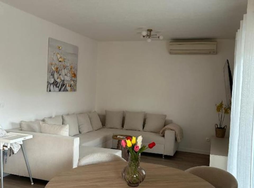 Apartment (One bedroom apartment) | Living room | 32-inch flat-screen TV with digital channels