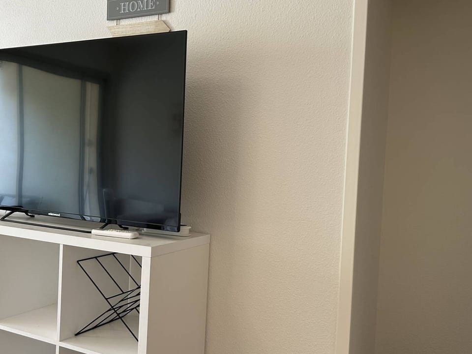 Television