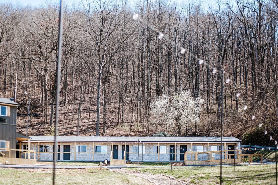 Charming accommodations nestled against a backdrop of towering trees and nature.