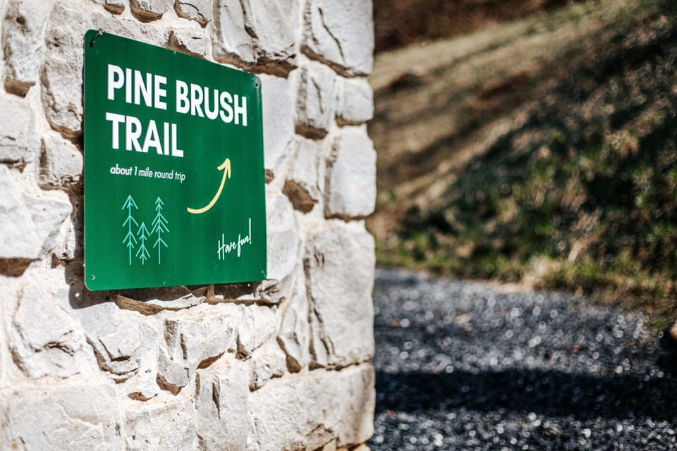 Embark on an adventure with the Pine Brush Trail sign, beckoning you to explore.