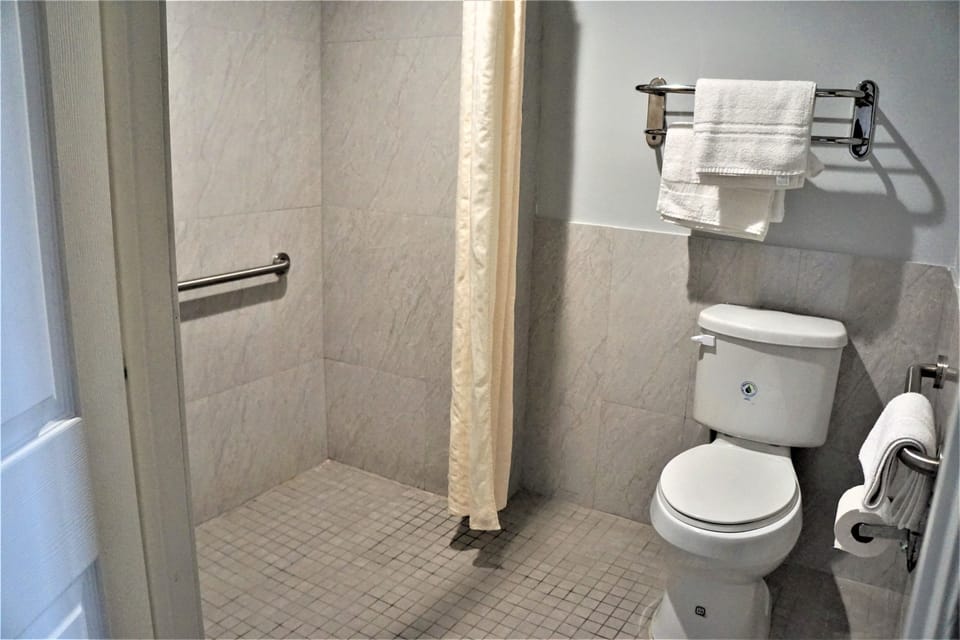 Standard Room, 1 King Bed | Bathroom shower