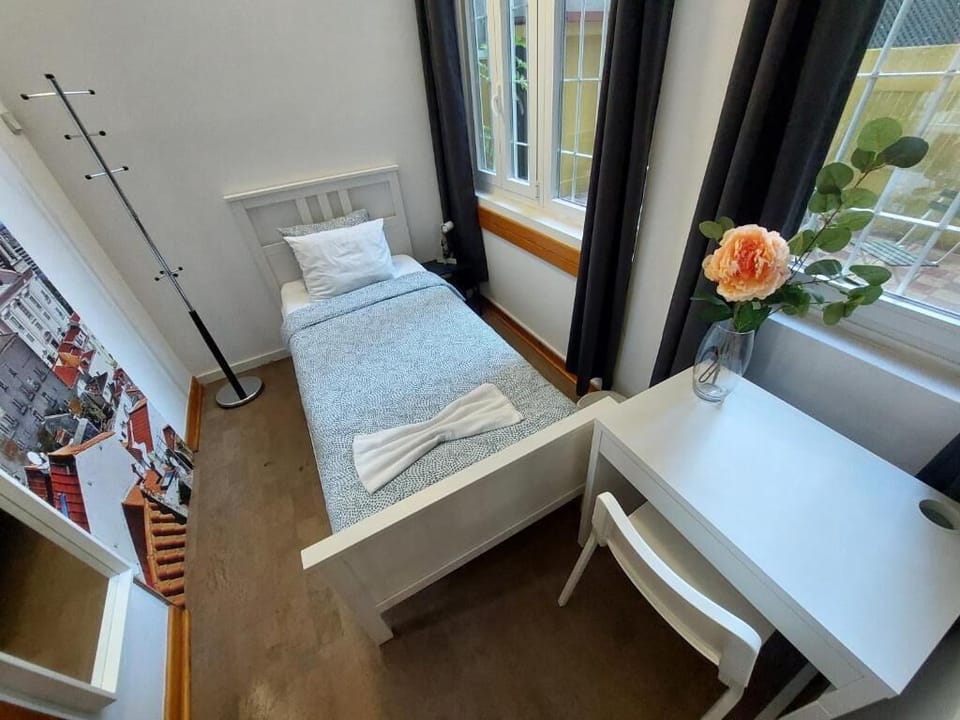 Single Room, City View | Down comforters, free WiFi