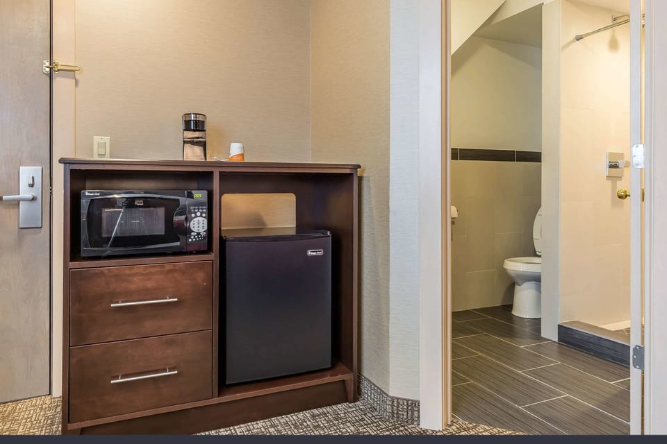 Standard Room, 1 Queen Bed, Non Smoking | Desk, free WiFi, bed sheets, alarm clocks