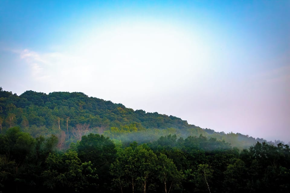 Enjoy the 8 acres of property great for morning and evening walks or runs through.