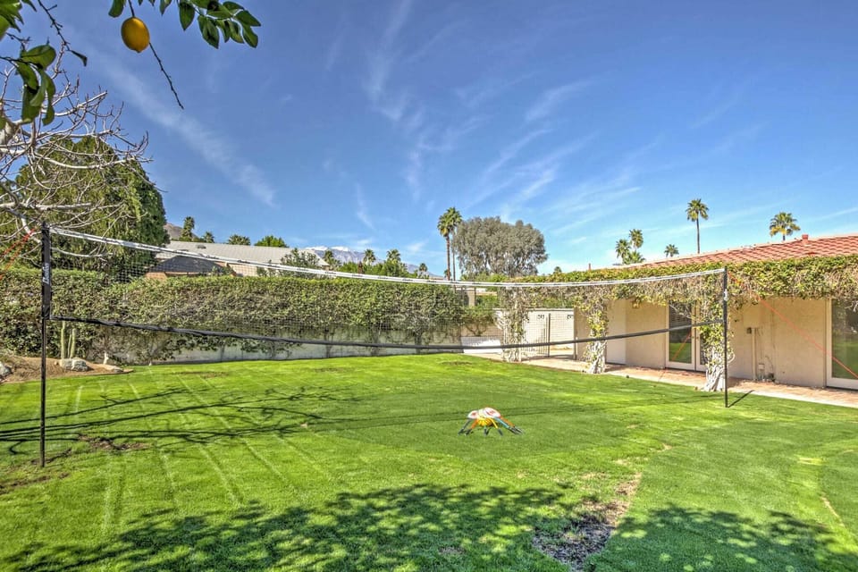 Expansive grassy backyard with a full-size volleyball net, framed by mature hedges, palms, and mountain views.
