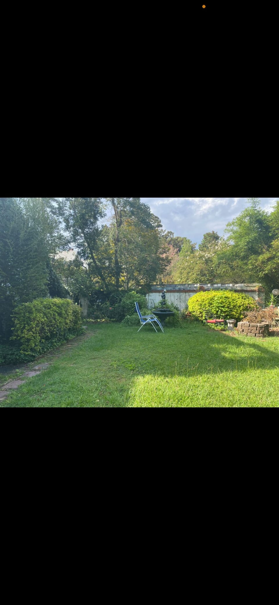 Back yard