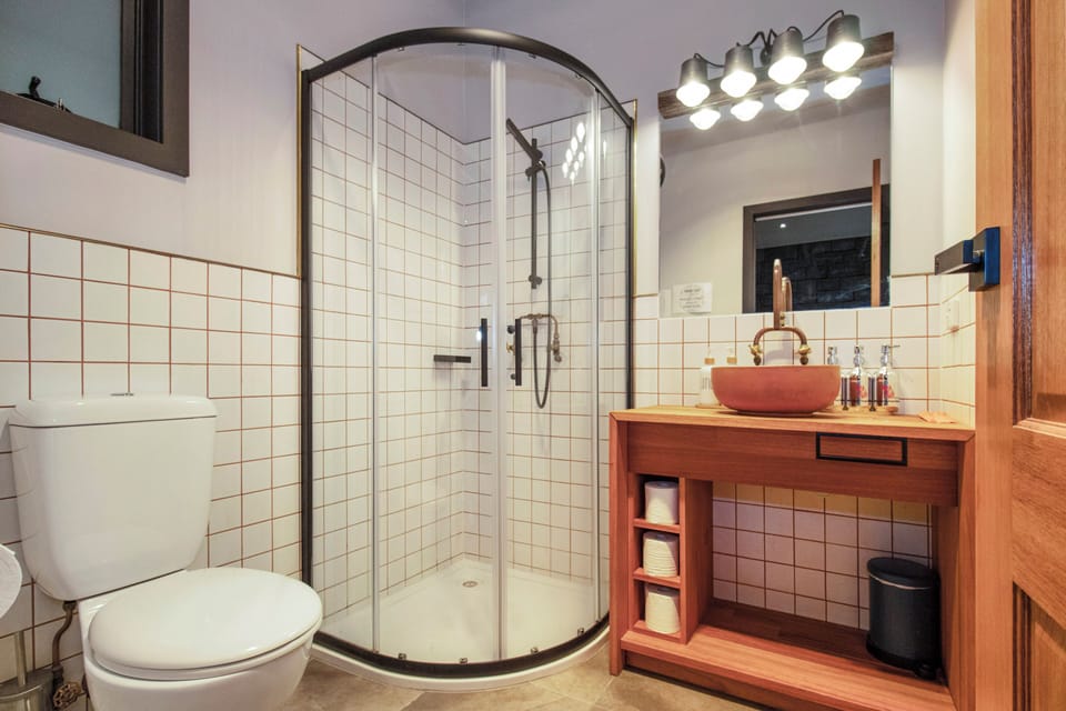 Modern bathroom with glass shower, wood vanity, and stylish vessel sink