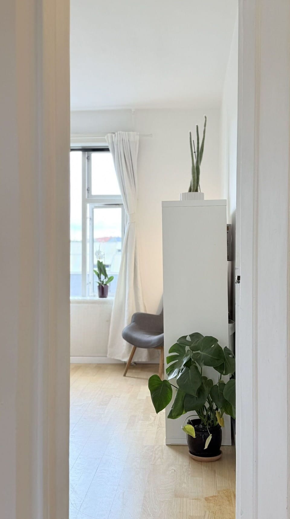 Room Detail