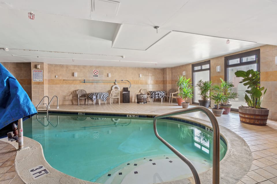 Indoor pool, sun loungers