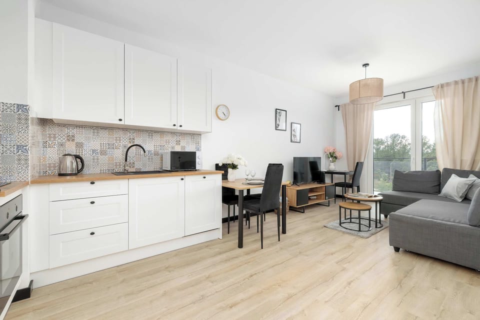 Open-concept apartment layout combining kitchen, dining and living areas