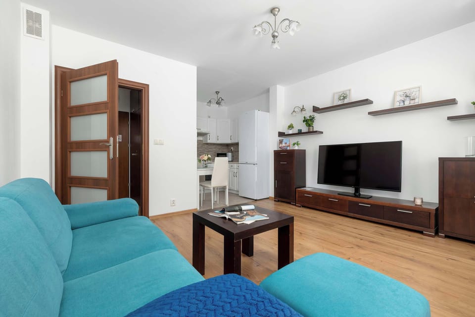 The living area features a sleek coffee table and a flat-screen television.