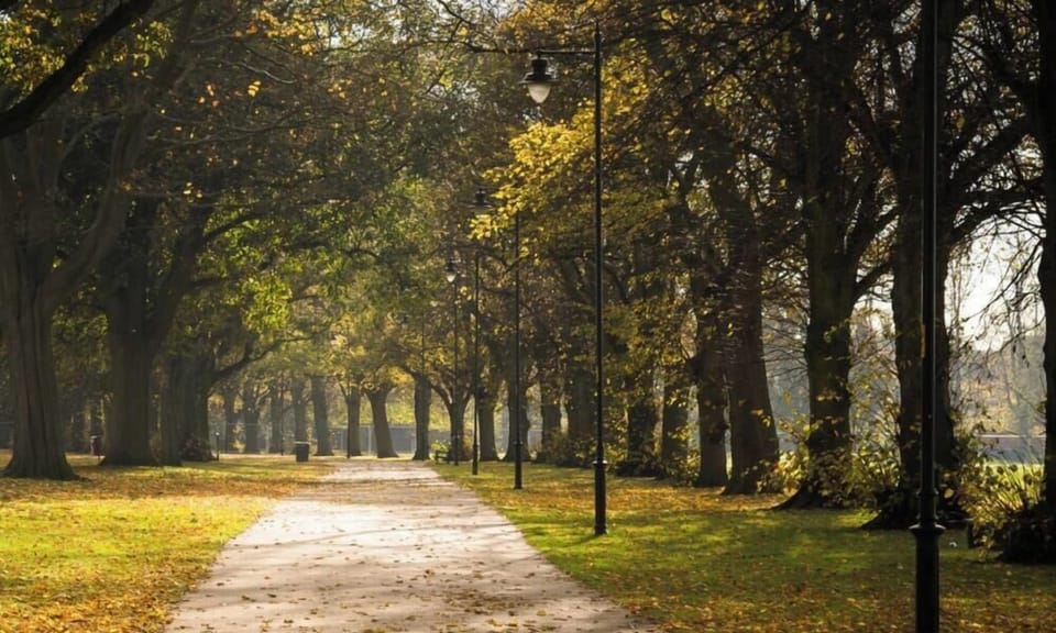 The Racecourse Park