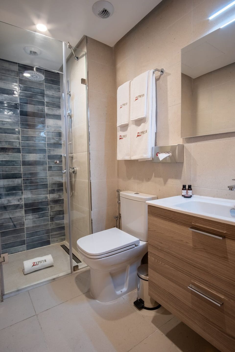 Superior Apartment, 2 Bedrooms | Bathroom | Shower, towels, soap, shampoo