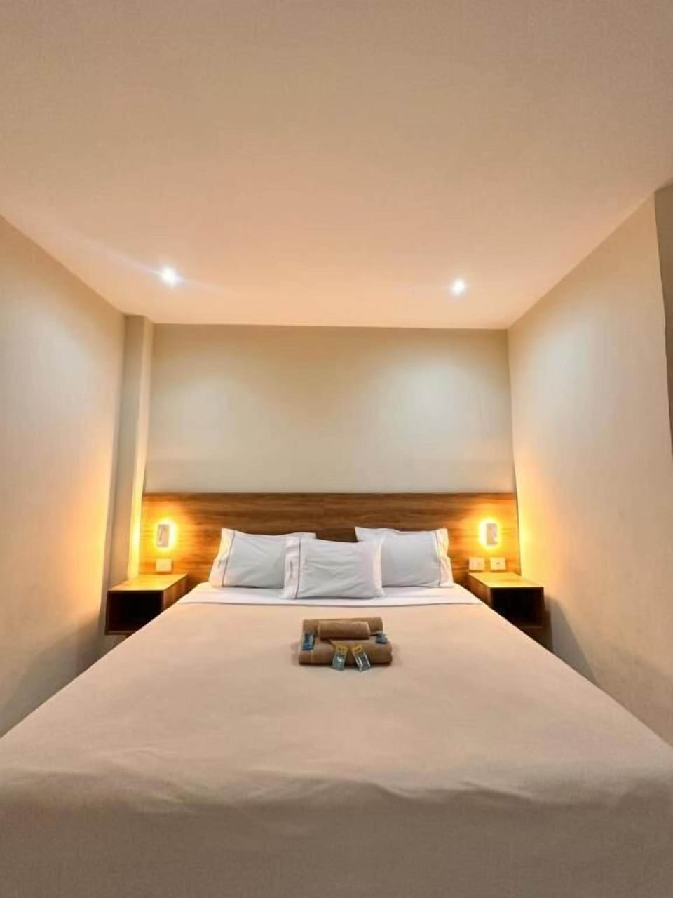 Deluxe Room | Desk, laptop workspace, WiFi (free)