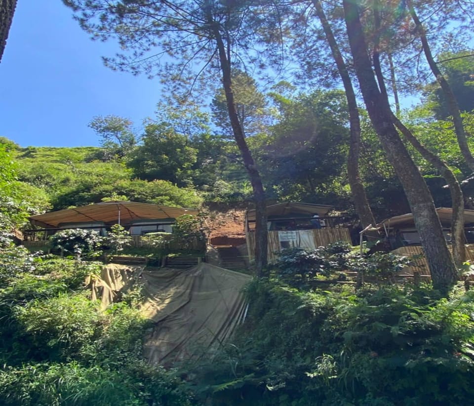 Tent, River View | Property grounds