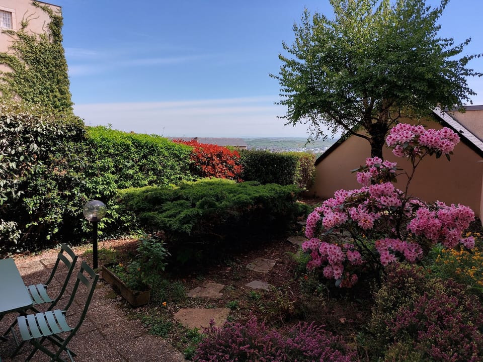 Comfort Apartment | Terrace/patio