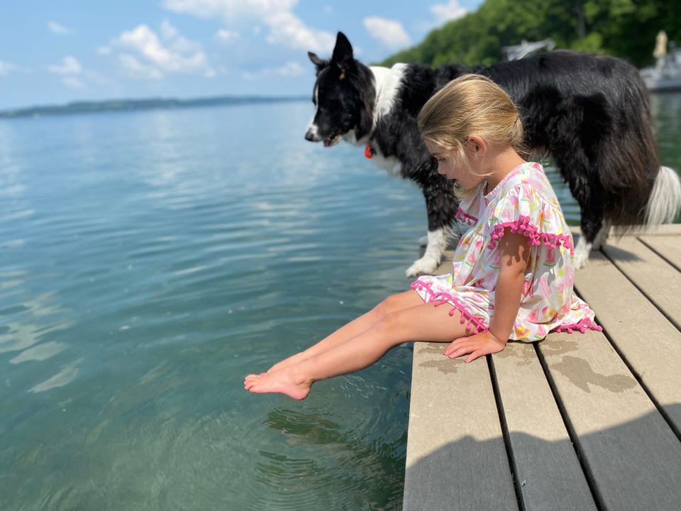 Pet-friendly