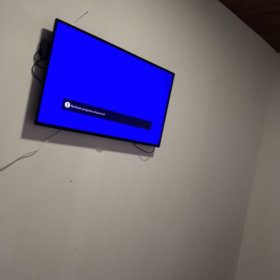 Television