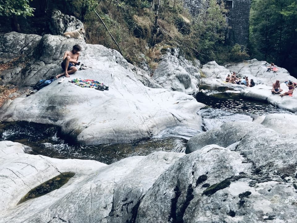 Miscellaneous