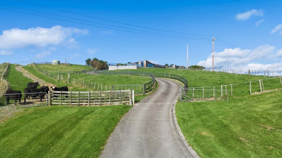 Paddocks and entrance driveway