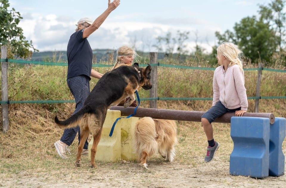 Pet-friendly