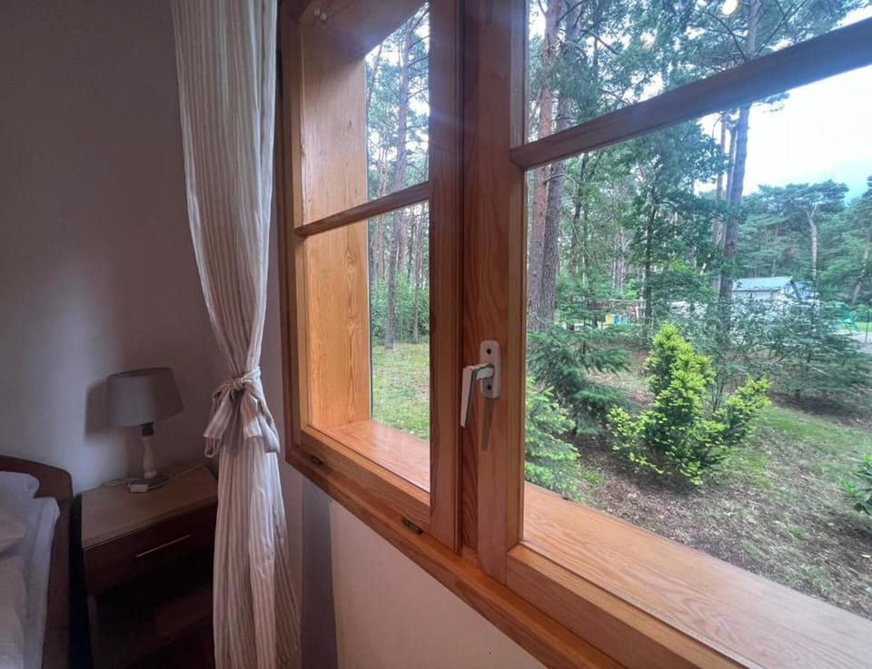 House | View from property