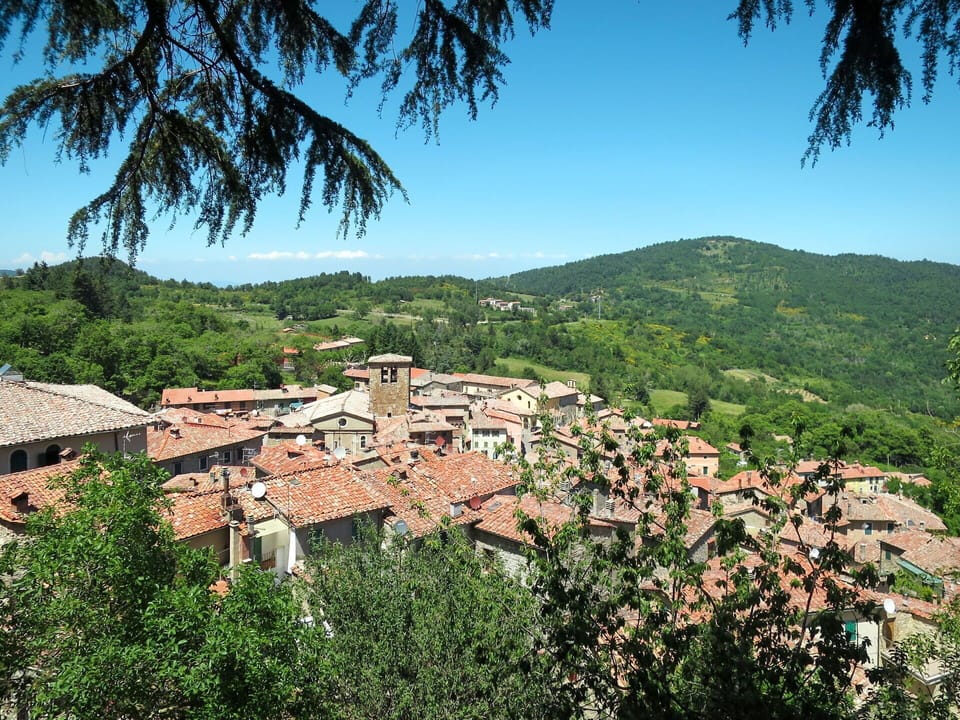 Tree, Residential Area, Roof, House, Landscape, Neighbourhood, Rural Area, Village, Human Settlement, Hill Station