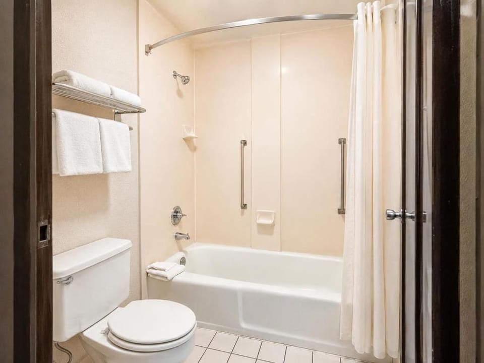 Deluxe Apartment | Bathroom | Bathtub, towels, shampoo, toilet paper
