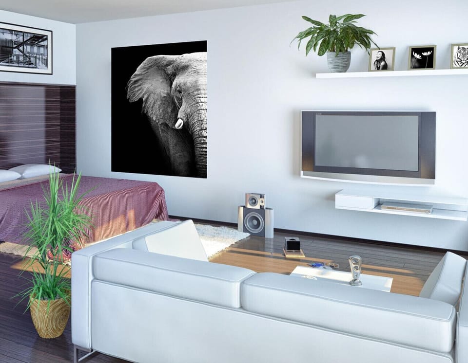Typical Living Room Area