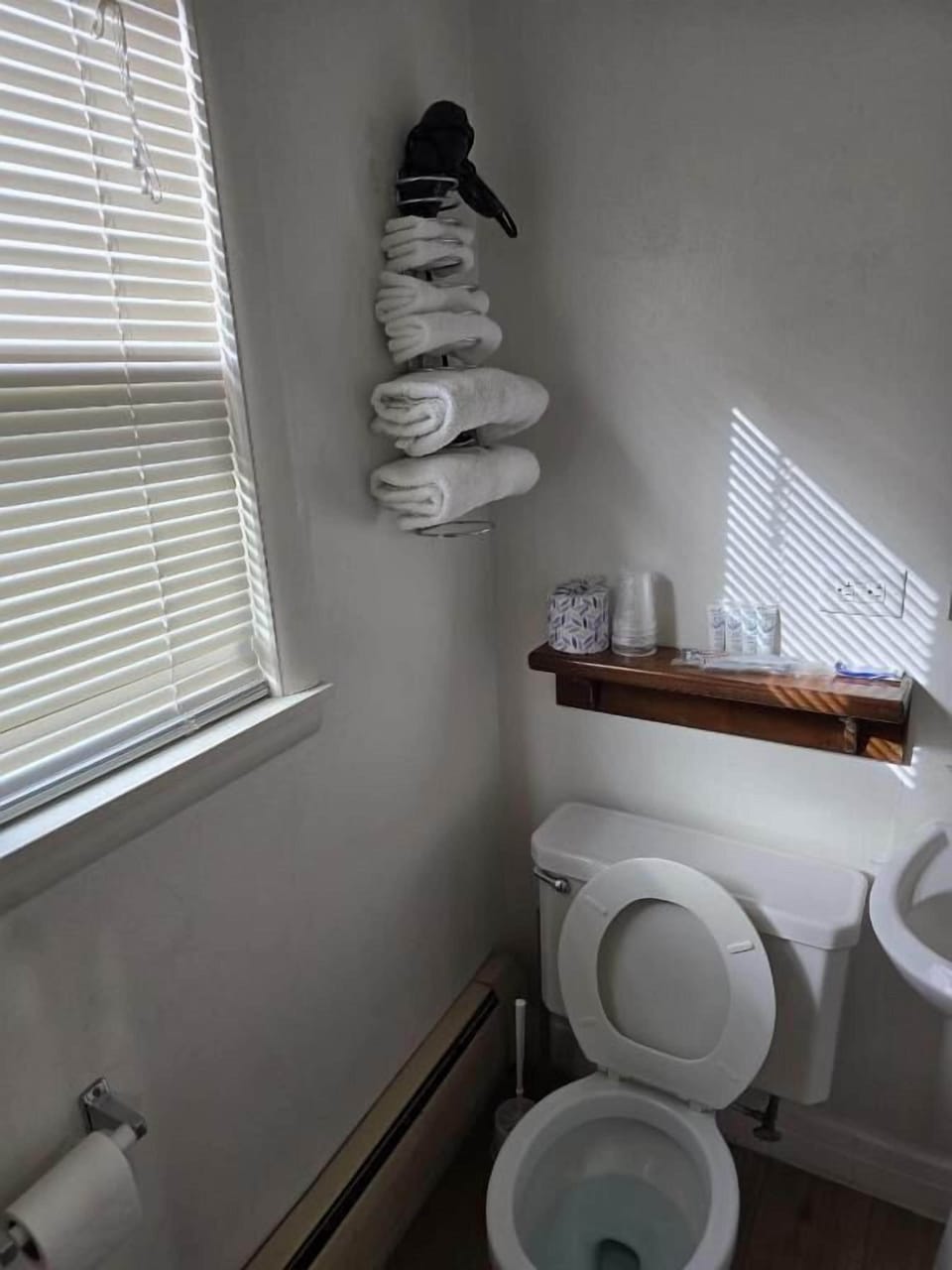 Shower, towels, toilet paper