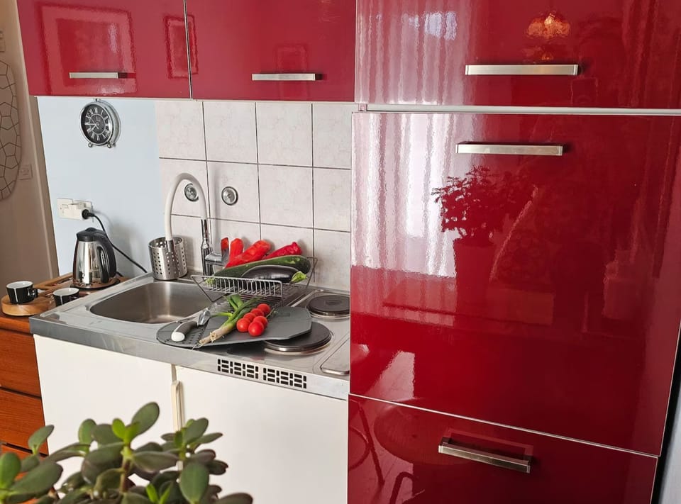 Apartment (Superior One Bedroom Apartment with S) | Private kitchen | Fridge