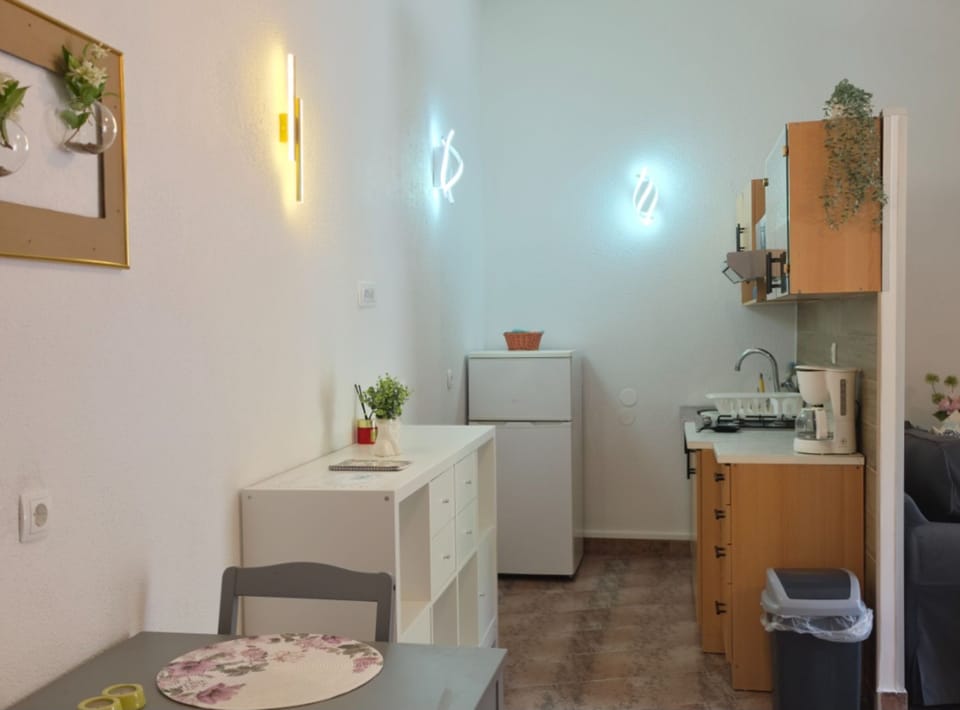 Studio (Studio Apartment with Terrace) | Private kitchen | Fridge