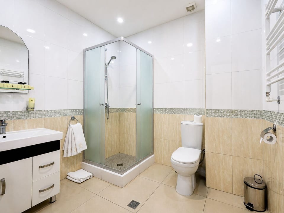 Shower, free toiletries, hair dryer, slippers