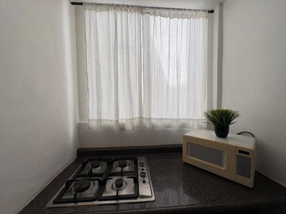 Classic Apartment, Garden View | Private kitchen