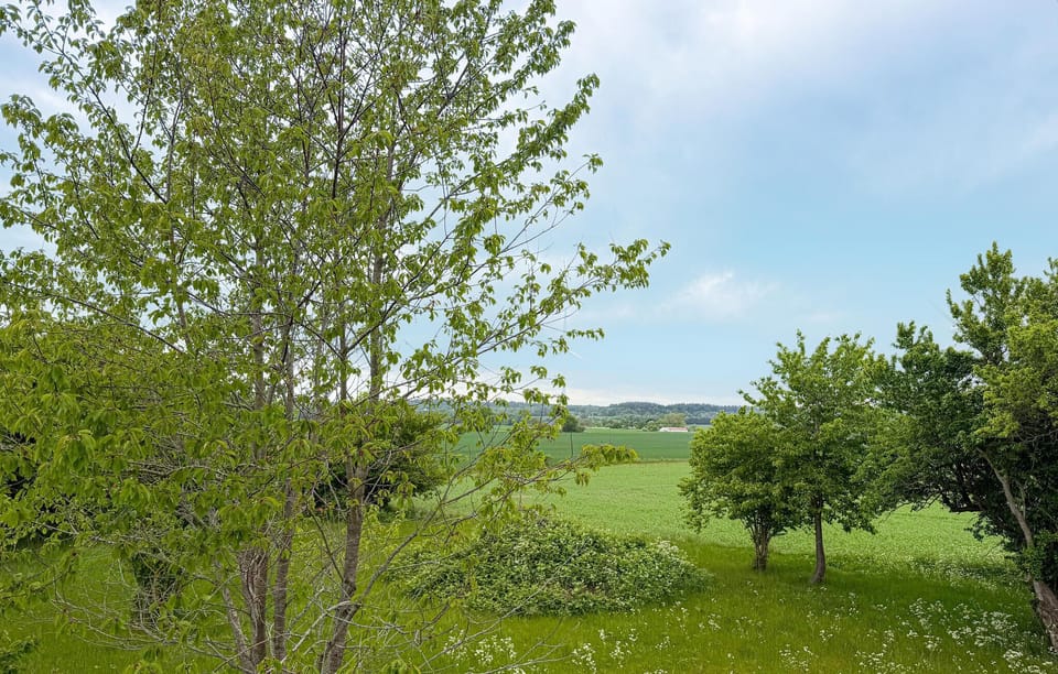 view-from-room
