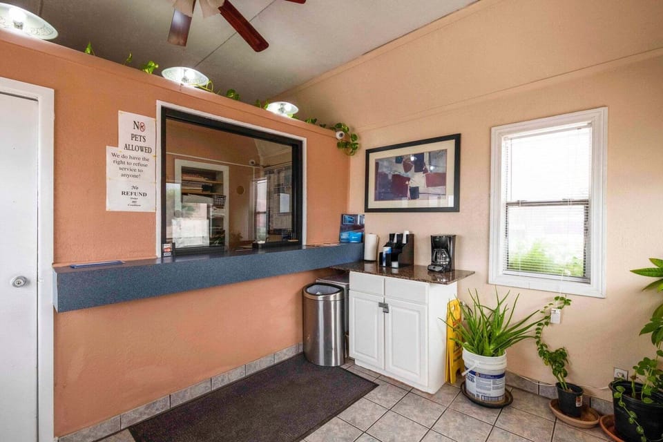 Entrance / Reception