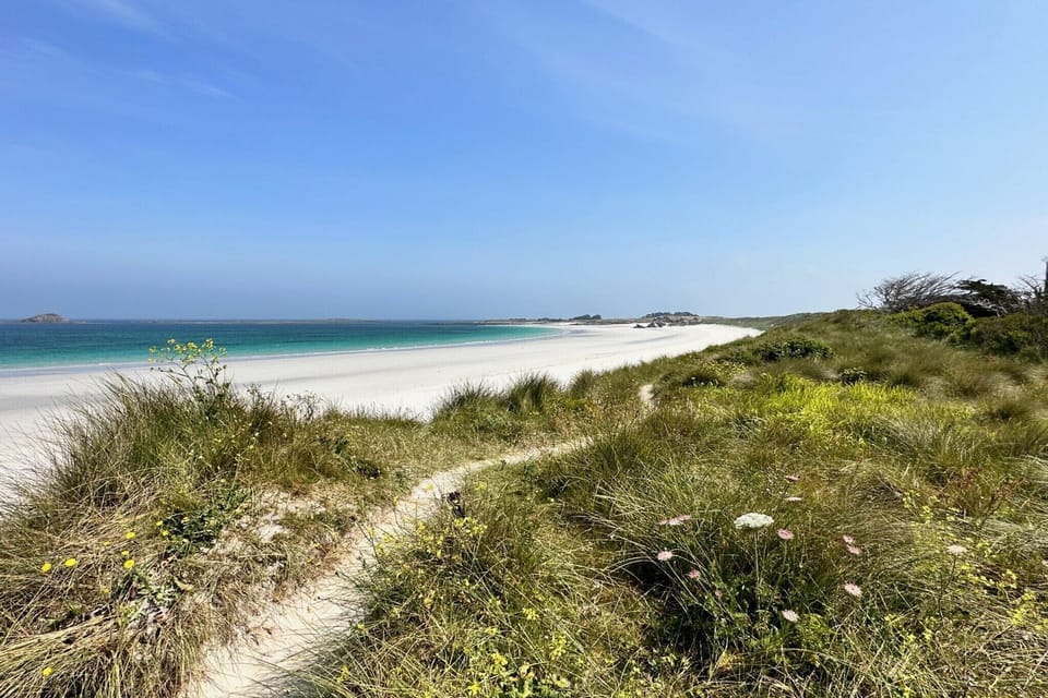 Surroundings [summer] (1-5 km)
