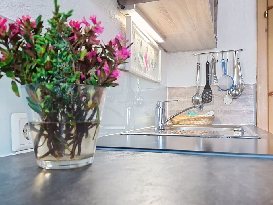 Countertop, Kitchen, Kitchen Sink, Flooring, Interior Design, Home, Plumbing Fixture, Tap, Kitchen Appliance, Houseplant