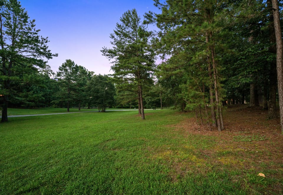 Expansive green space surrounding the cabin gives you a true sense of privacy while providing plenty of room for outdoor fun.