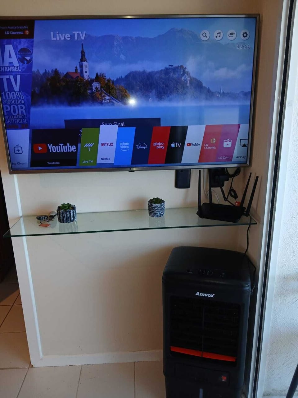 Television