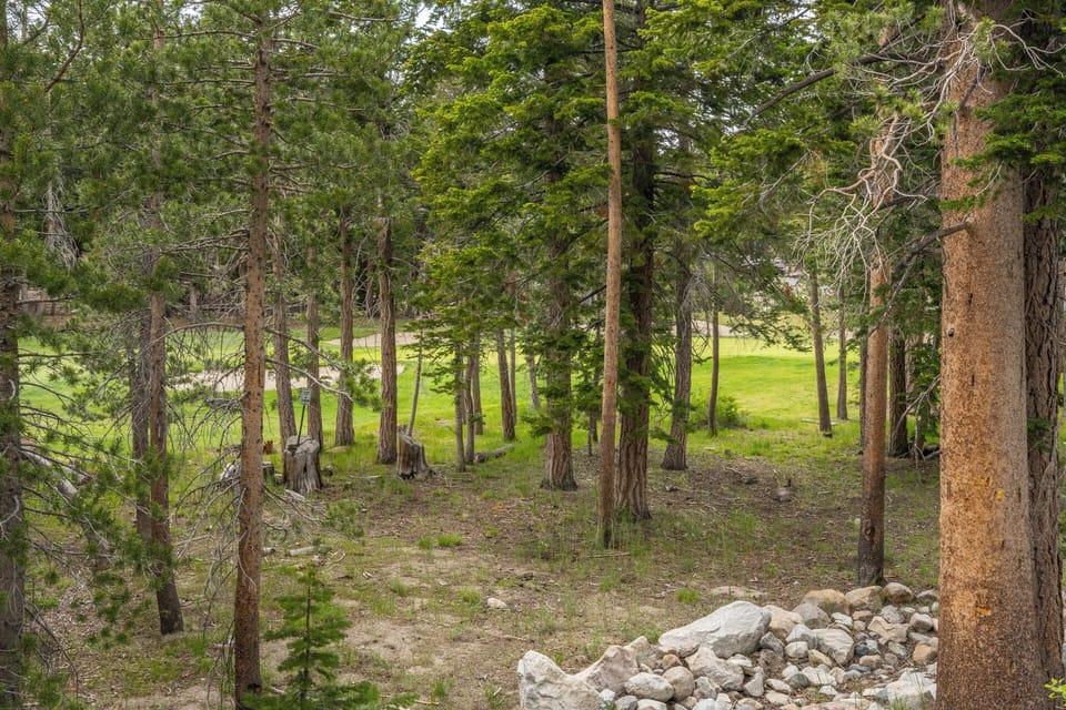 Peaceful forested landscape surrounds the property, offering natural scenery and a sense of serene seclusion in a lush outdoor setting.