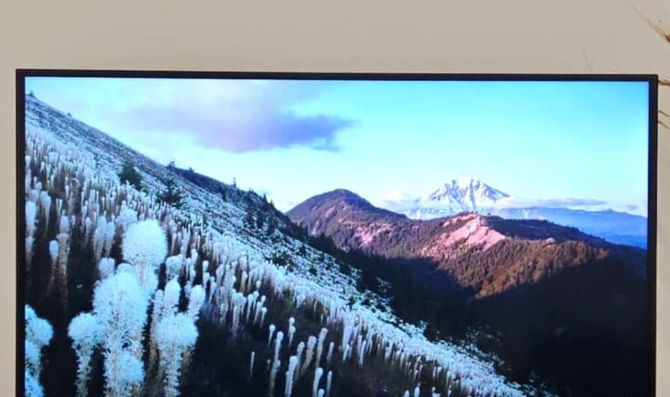 Television