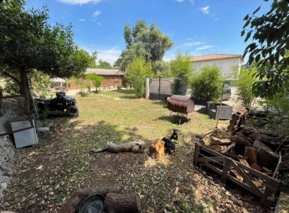 Property grounds