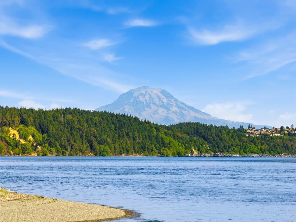Iconic Mount Rainier View
